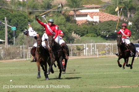 090306-Polo-0242