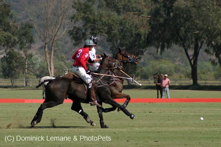 090306-Polo-0253