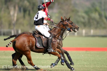 090306-Polo-0339