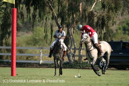 090306-Polo-0436