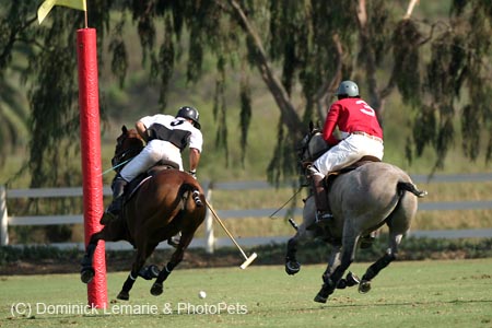 090306-Polo-0469