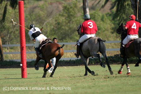 090306-Polo-0470
