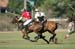 090306-Polo-0456