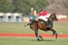 090306-Polo-0516