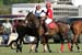 090306-Polo-0528