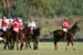 090306-Polo-0530