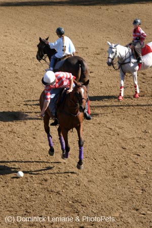090406-Polo-0003