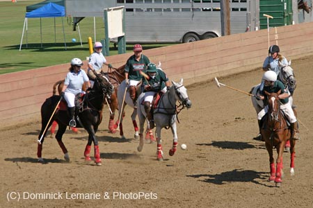 090406-Polo-0095