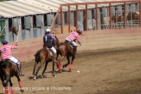 090406-Polo-0182