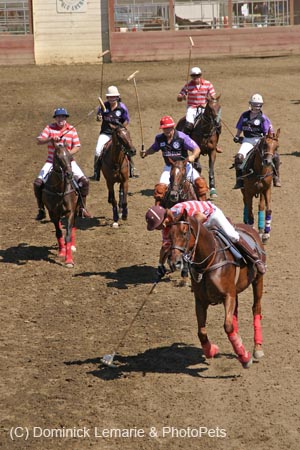 090406-Polo-0193