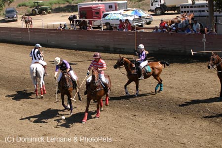 090406-Polo-0201