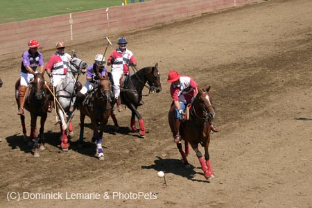 090406-Polo-0204