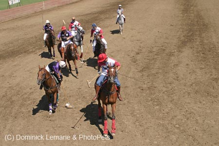 090406-Polo-0206