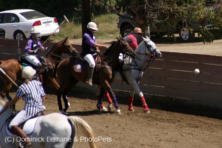 090406-Polo-0208