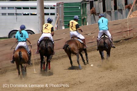 090406-Polo-0271