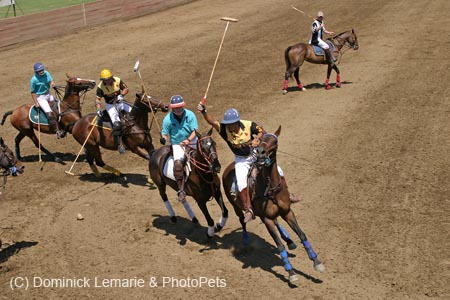 090406-Polo-0278