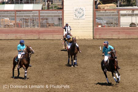 090406-Polo-0297