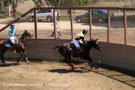 090406-Polo-0310