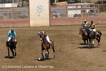 090406-Polo-0315