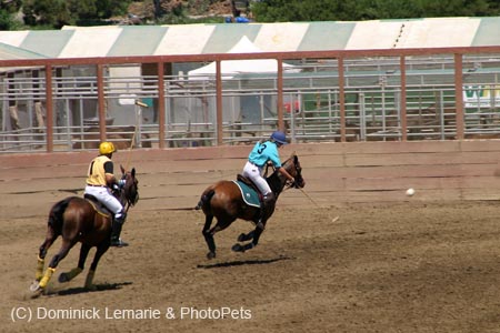 090406-Polo-0316