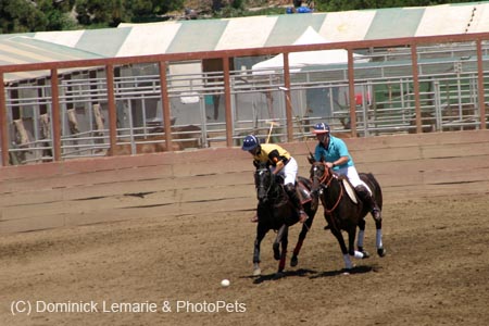 090406-Polo-0319