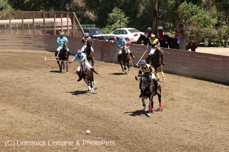 090406-Polo-0323
