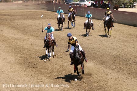 090406-Polo-0325
