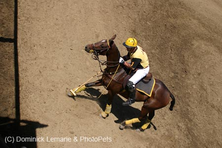090406-Polo-0326