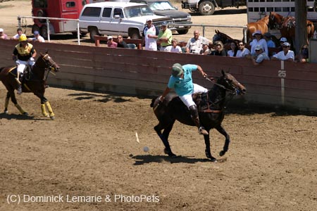 090406-Polo-0327