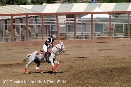 090406-Polo-0328