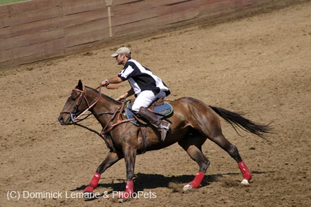 090406-Polo-0334