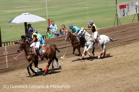 090406-Polo-0336