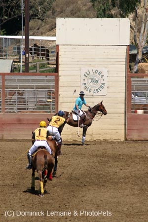 090406-Polo-0340