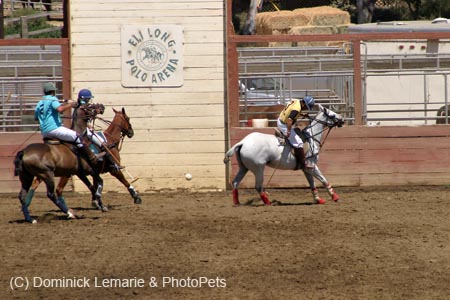 090406-Polo-0342