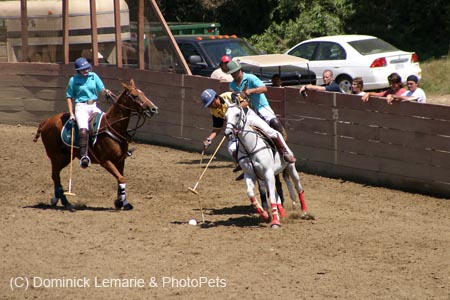090406-Polo-0348