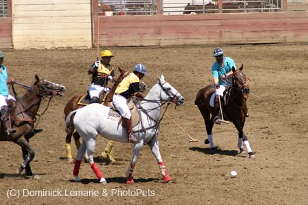 090406-Polo-0350