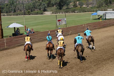 090406-Polo-0355