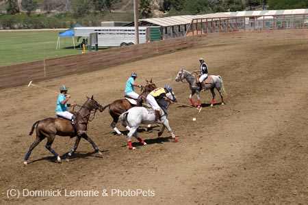 090406-Polo-0356