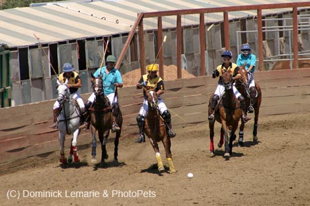 090406-Polo-0357