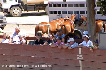 090406-Polo-0361