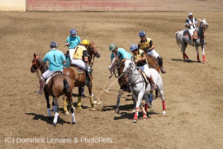 090406-Polo-0363