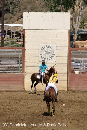 090406-Polo-0365