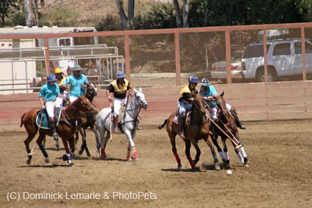 090406-Polo-0367