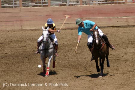 090406-Polo-0369