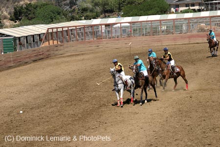 090406-Polo-0370