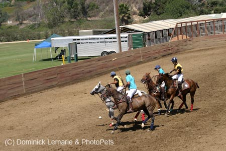 090406-Polo-0371