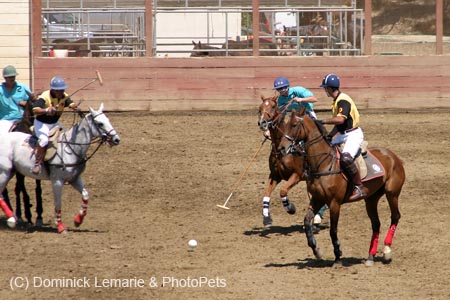 090406-Polo-0372