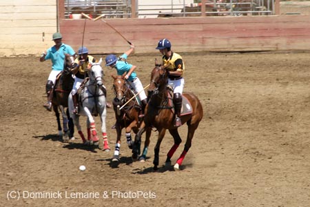 090406-Polo-0373