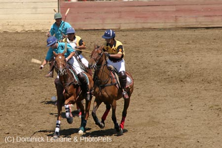090406-Polo-0374