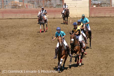 090406-Polo-0375